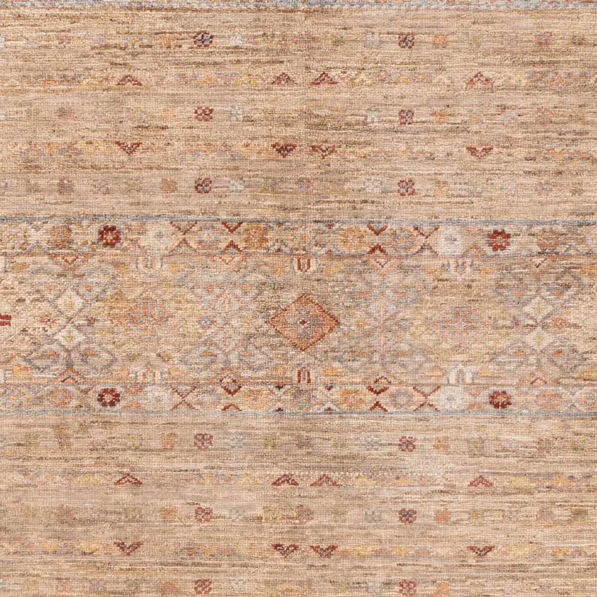 Ziegler Carpet - Ariana - 245 x 173 cm - beige