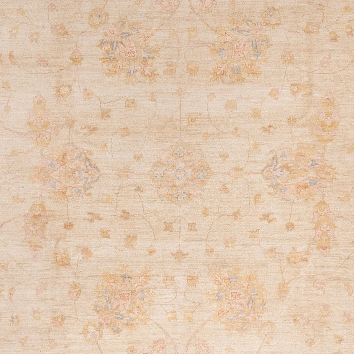 Ziegler Carpet - 494 x 301 cm - beige