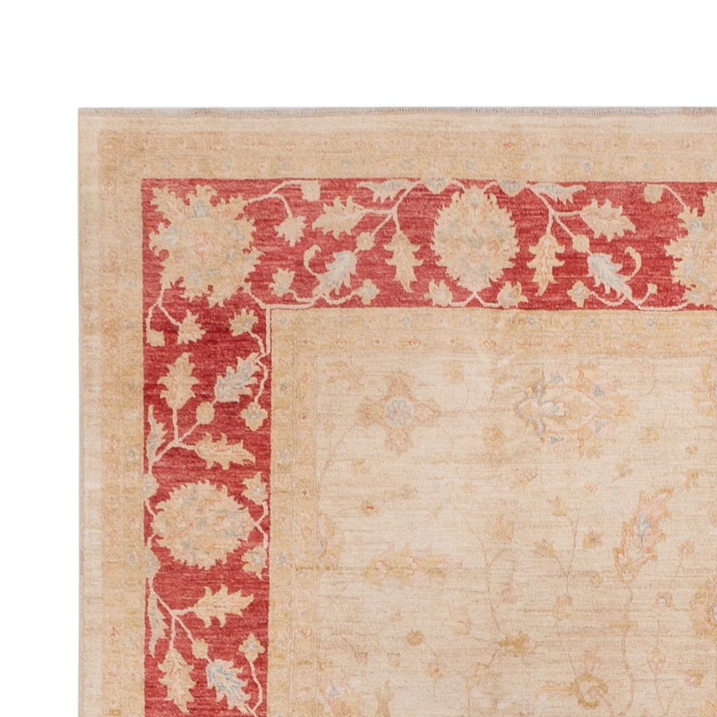 Ziegler Carpet 494x301cm - Oriental Carpet