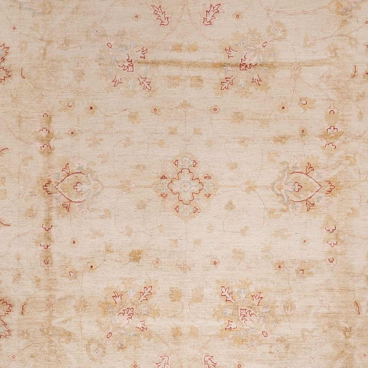 Ziegler Carpet - 487 x 353 cm - röd