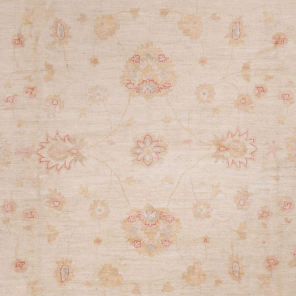 Ziegler Carpet - 538 x 350 cm - beige