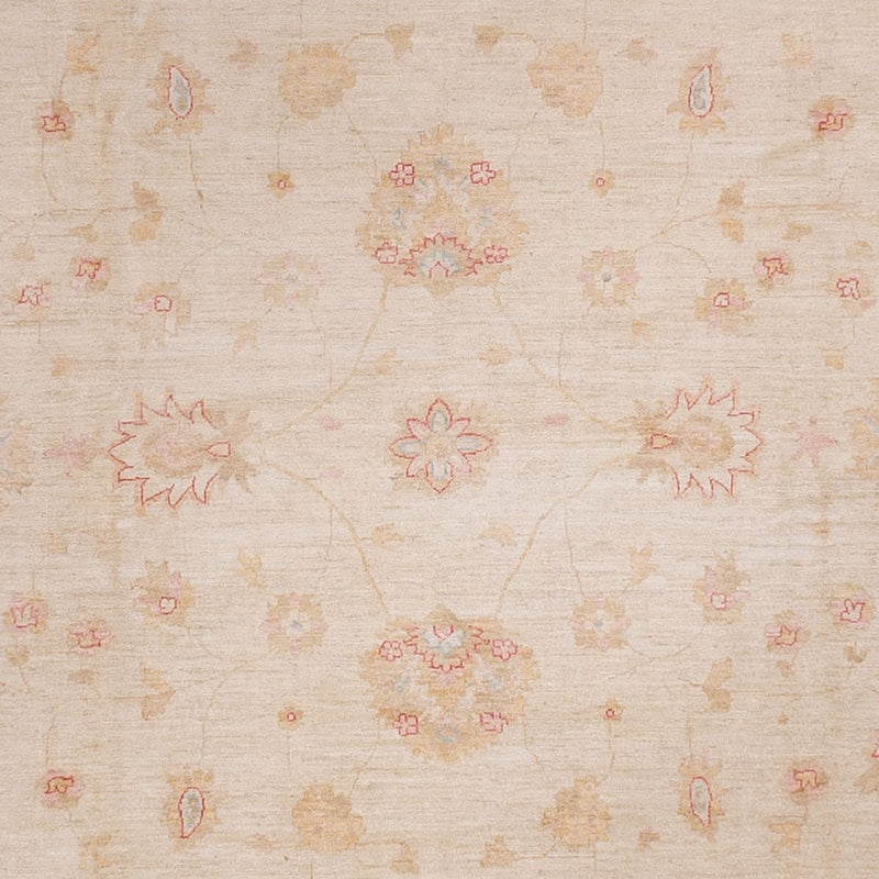 Ziegler Carpet - 538 x 350 cm - beige