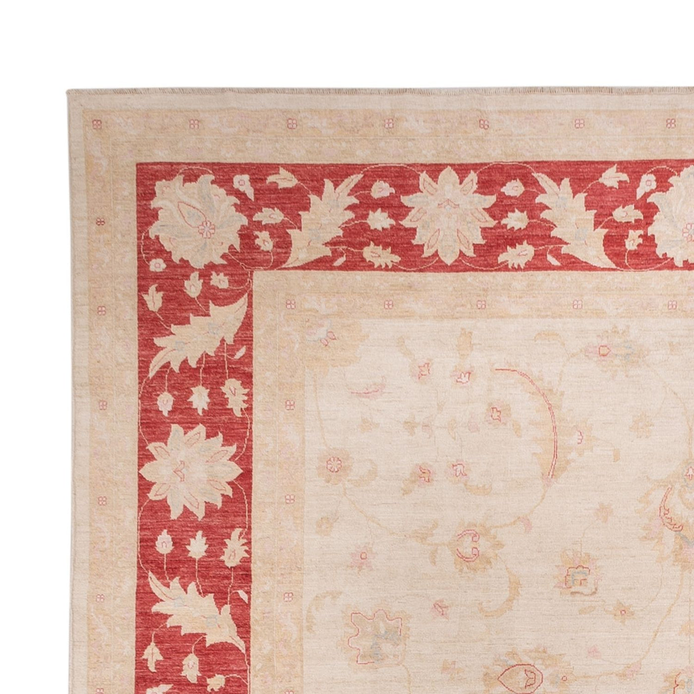Ziegler Carpet 538x350cm - Oriental Carpet