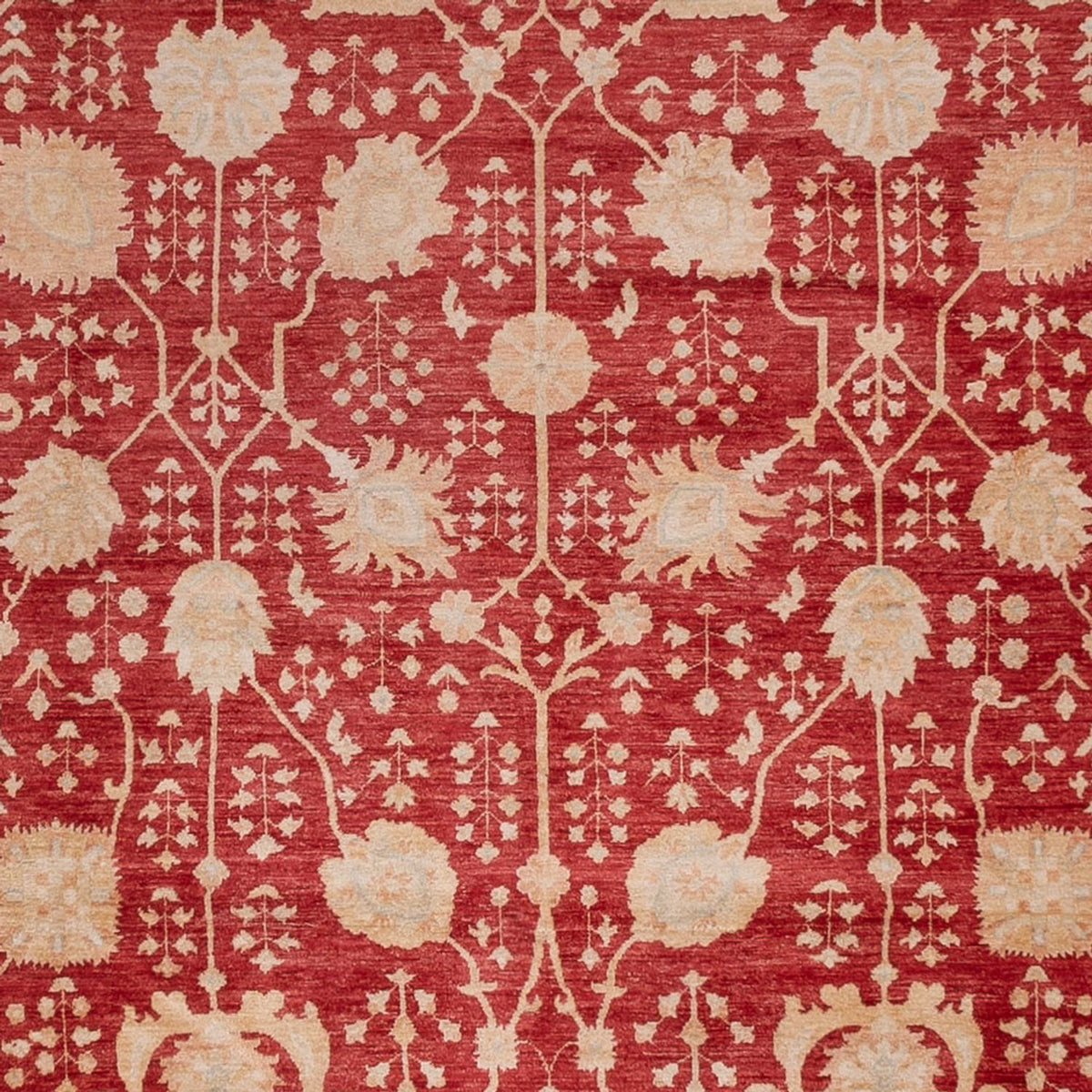 Ziegler Carpet - 495 x 400 cm - röd