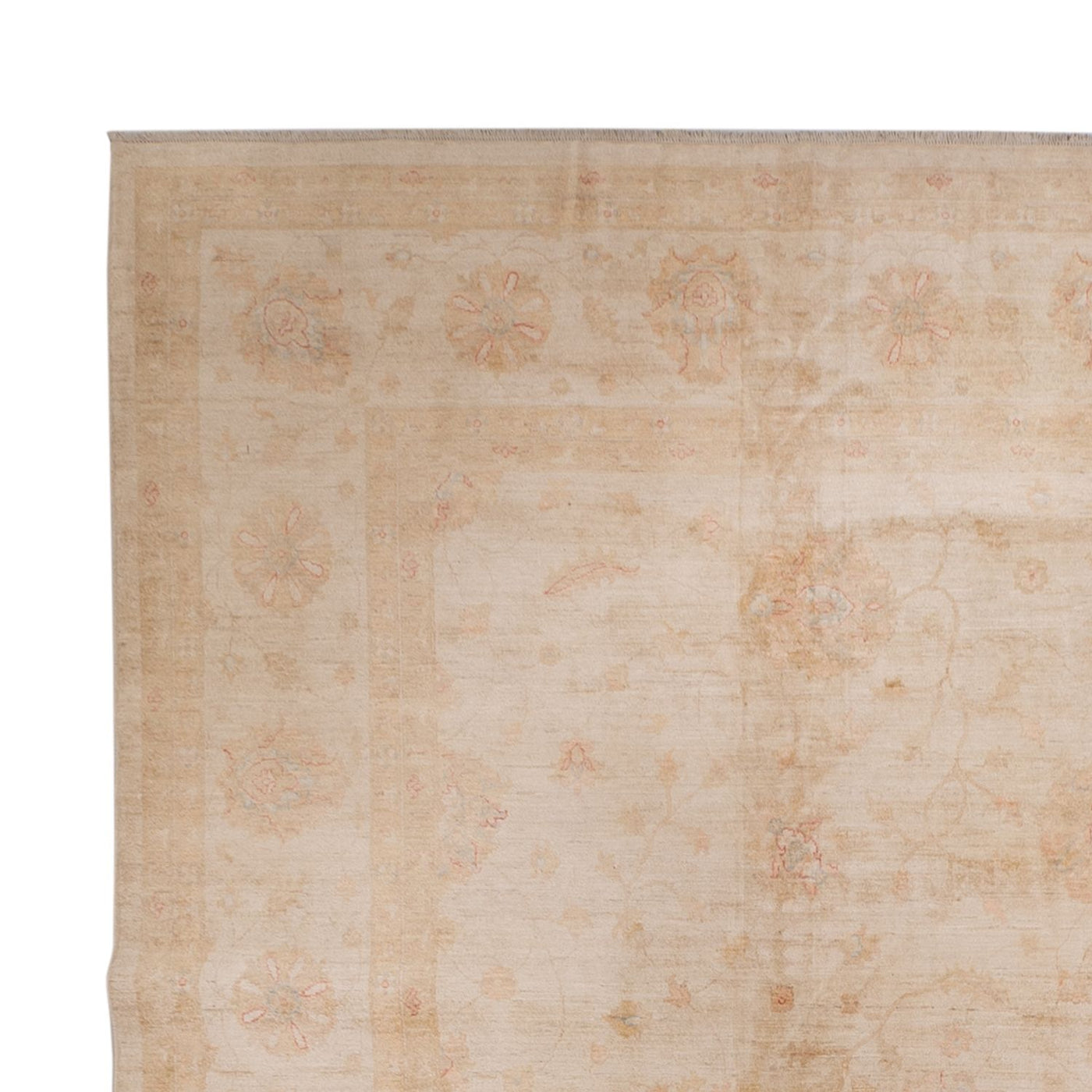 Ziegler Carpet 503x393cm - Oriental Carpet