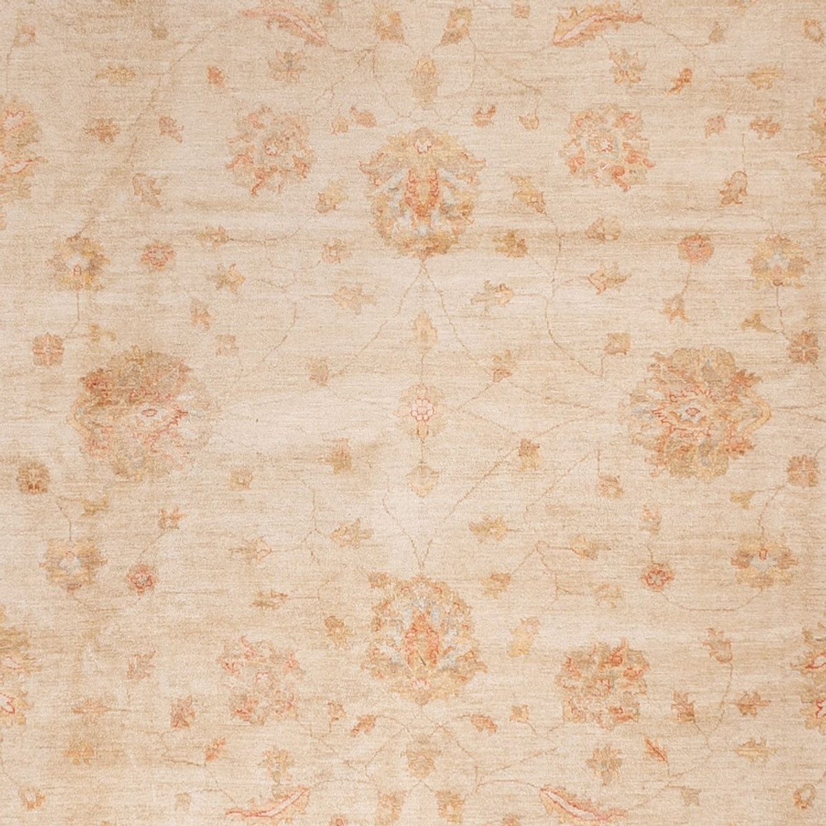 Ziegler Carpet - 498 x 405 cm - beige