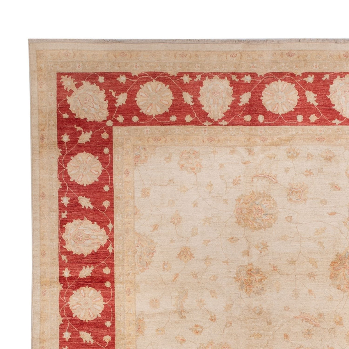 Ziegler Carpet - 498 x 405 cm - beige