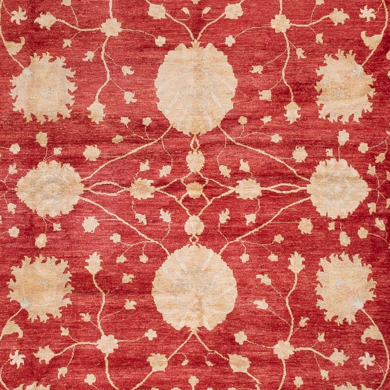 Ziegler Carpet - 521 x 400 cm - beige