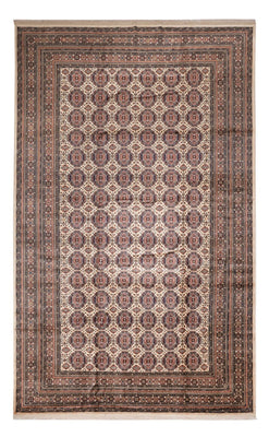 Afghansk matta - 492 x 303 cm - mörk beige