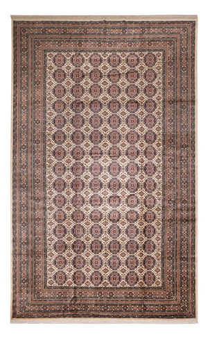 Afghansk matta - 492 x 303 cm - mörk beige