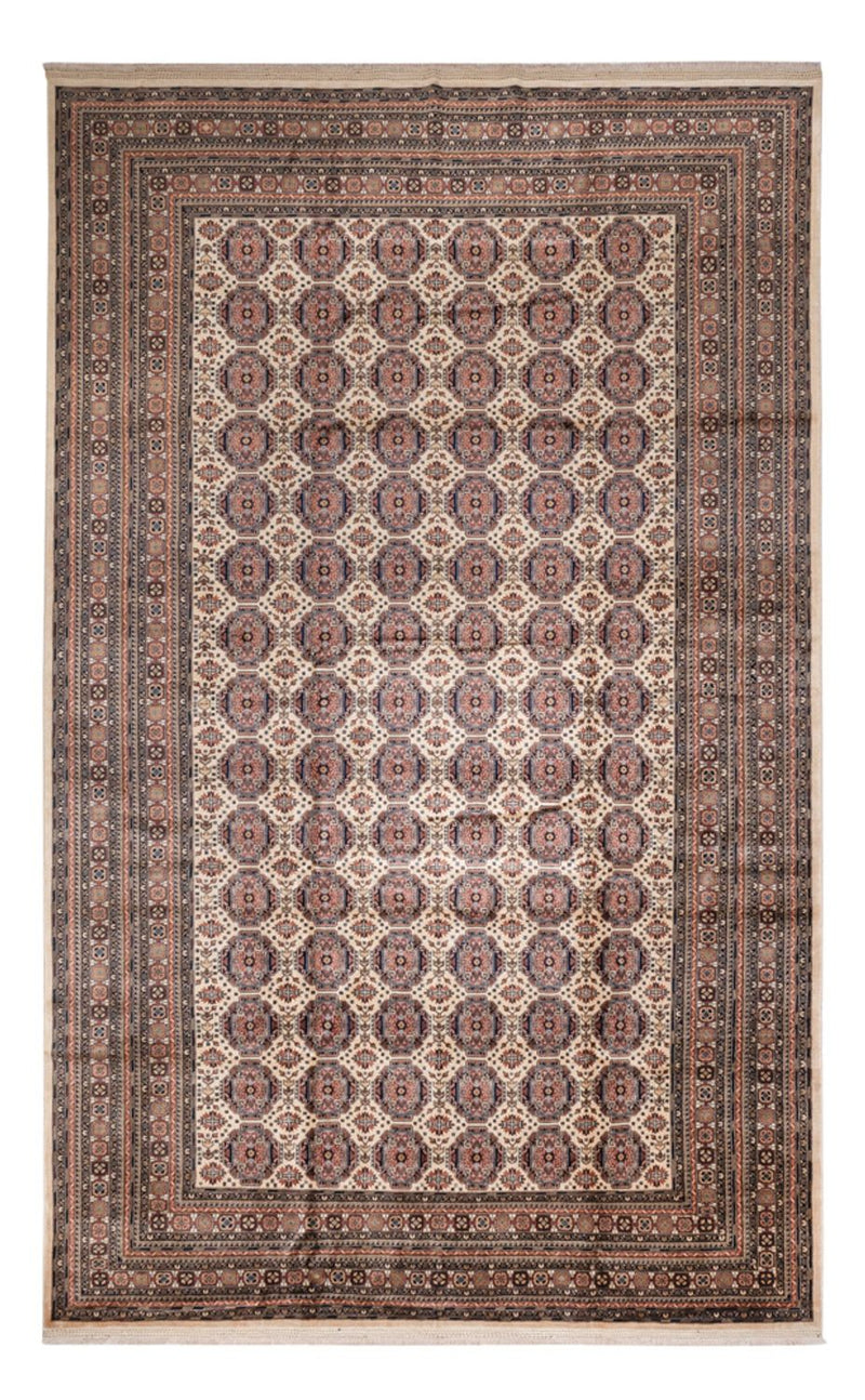 Afghansk matta - 492 x 303 cm - mörk beige