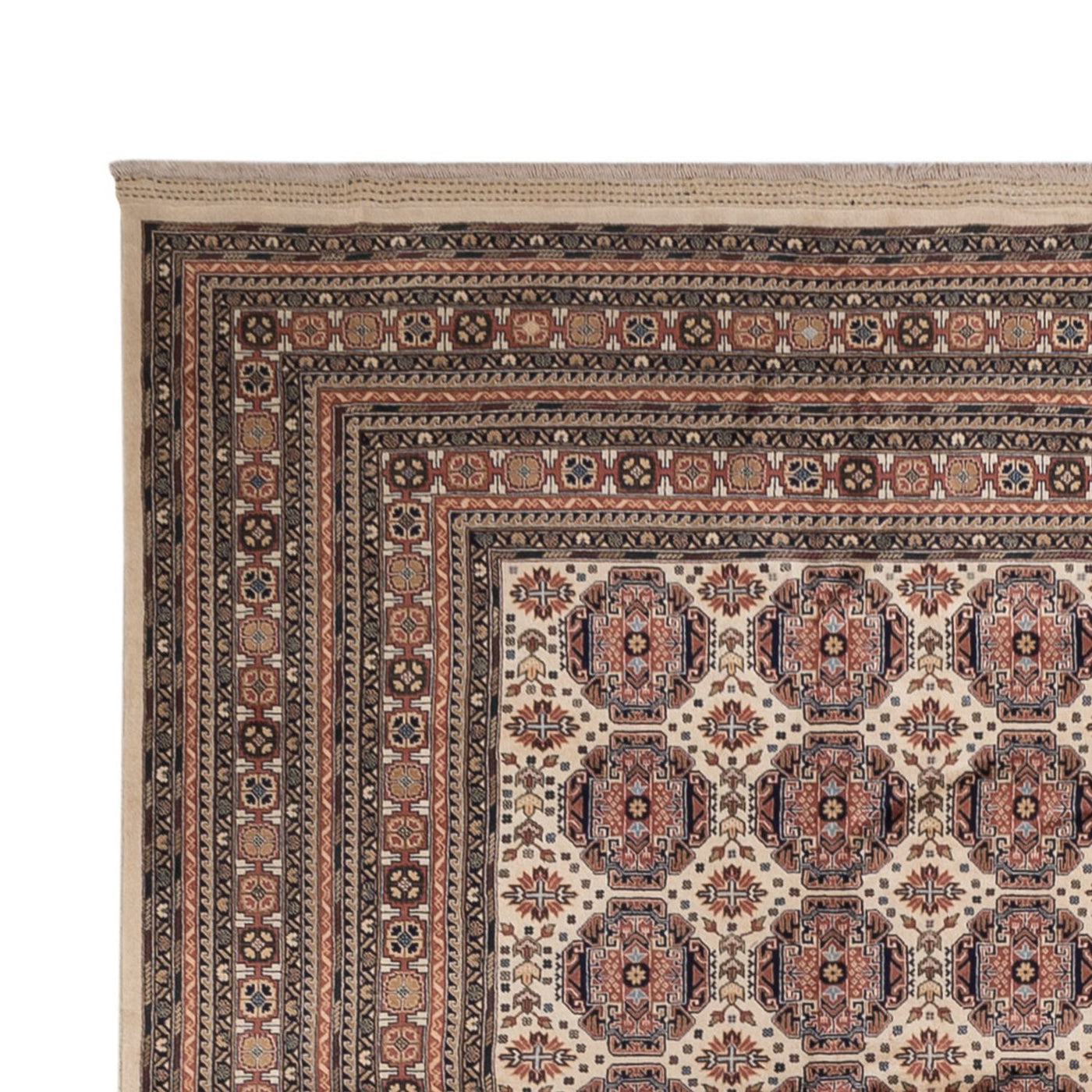 Afghansk matta 492x303cm - Oriental Carpet