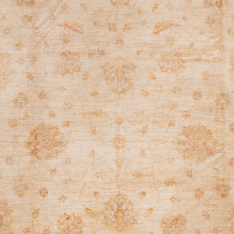 Ziegler Carpet - 541 x 348 cm - beige