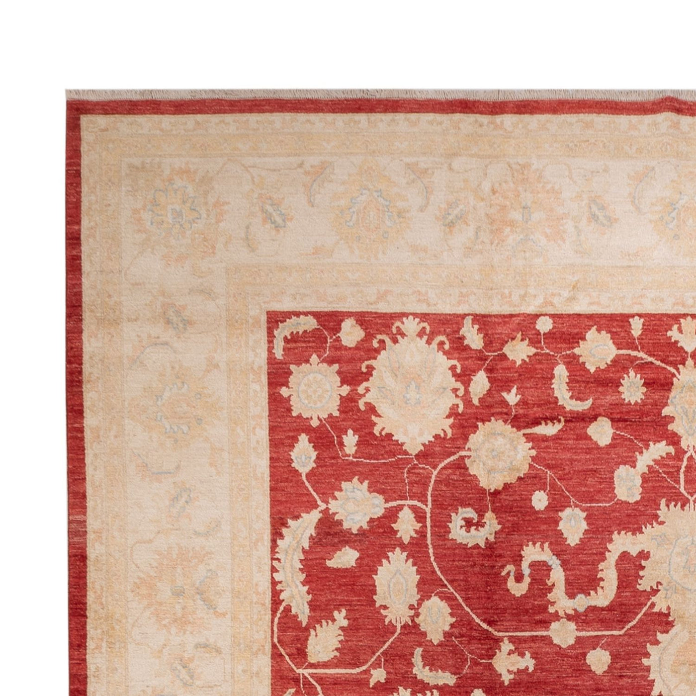Ziegler Carpet 540x352cm - Oriental Carpet