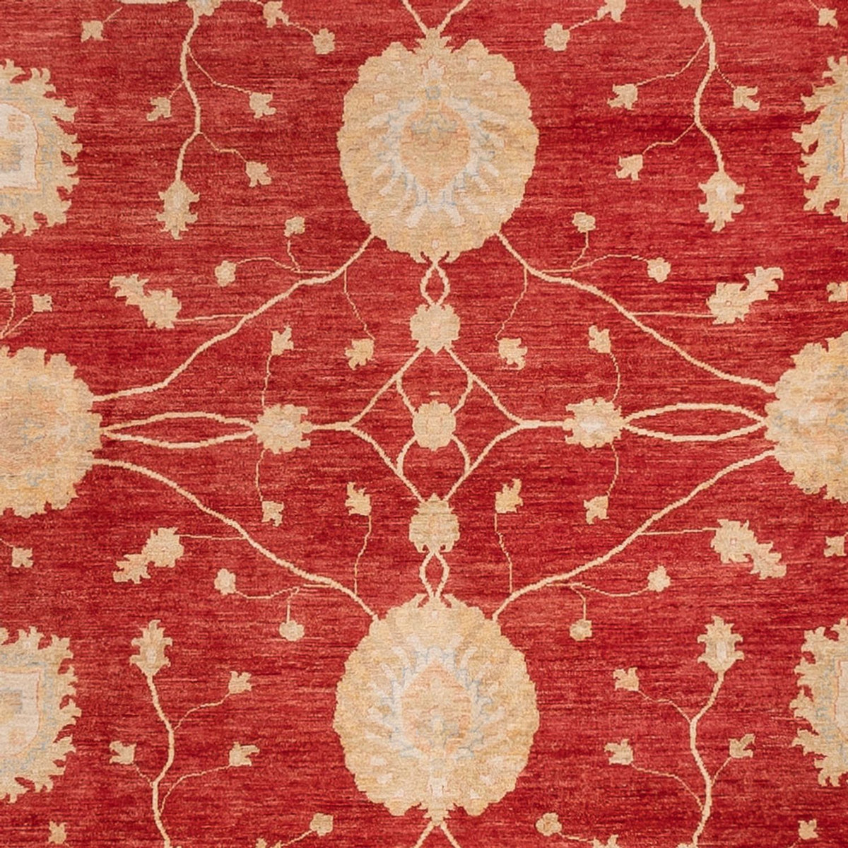 Ziegler Carpet - 465 x 353 cm - röd