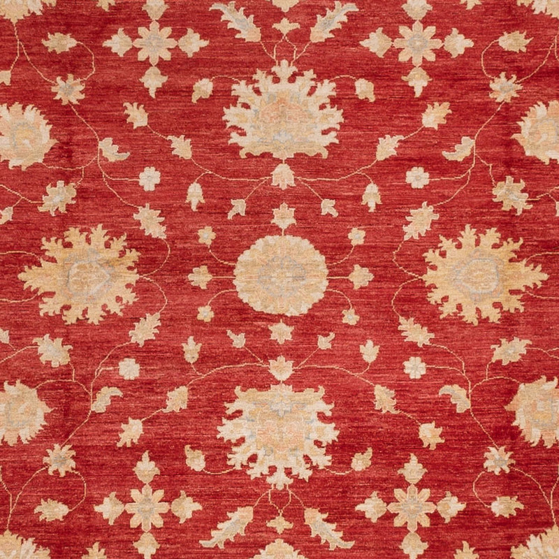Ziegler Carpet - 496 x 362 cm - röd