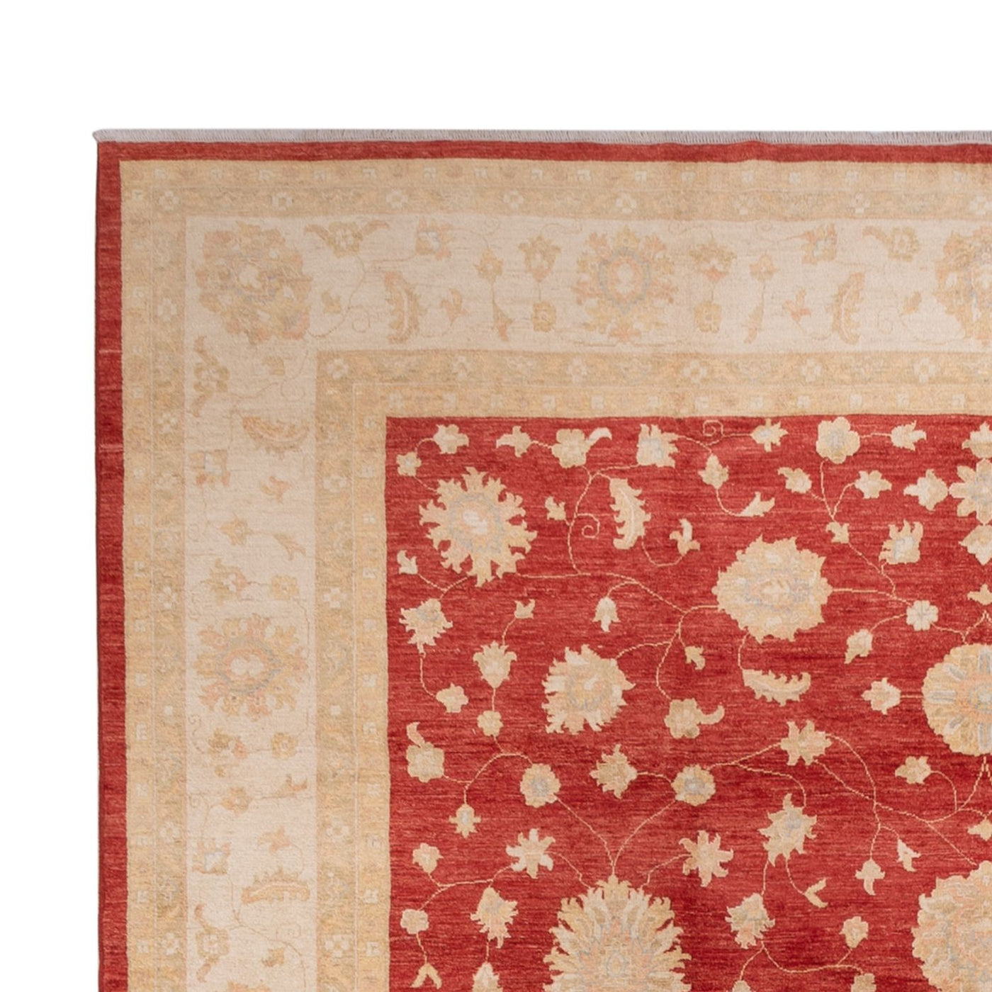Ziegler Carpet 496x362cm - Oriental Carpet