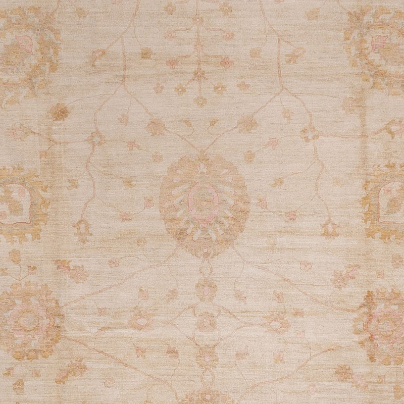 Ziegler Carpet - 543 x 350 cm - beige