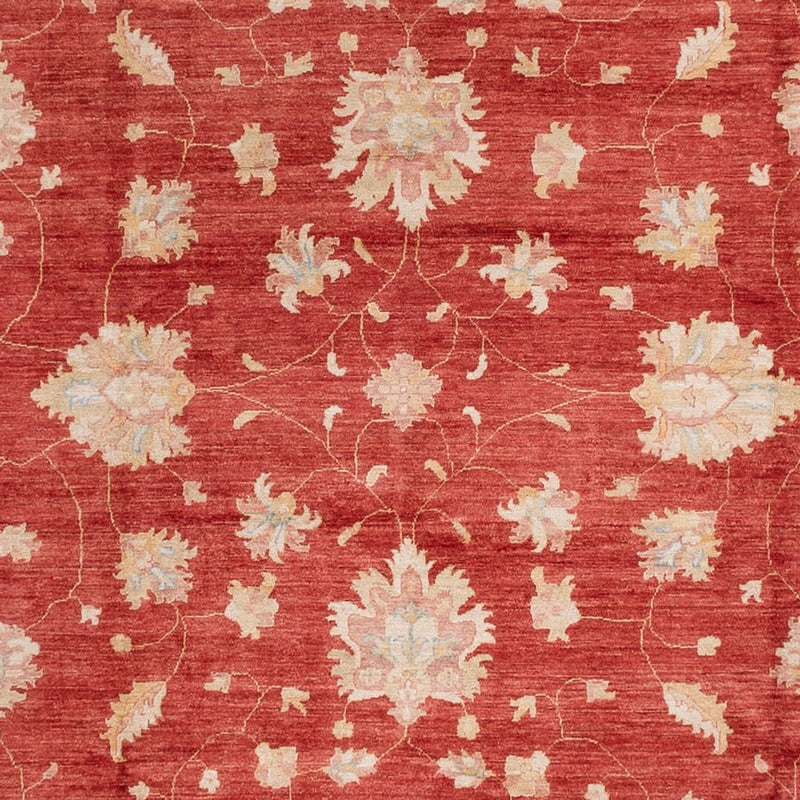 Ziegler Carpet - 493 x 253 cm - röd