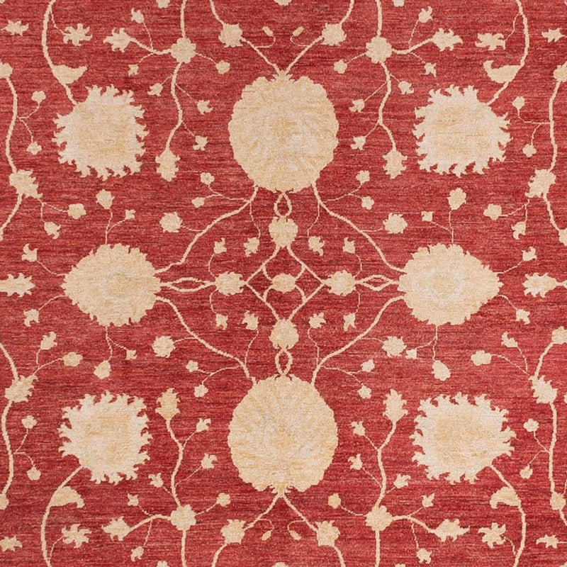 Ziegler Carpet - 484 x 304 cm - röd