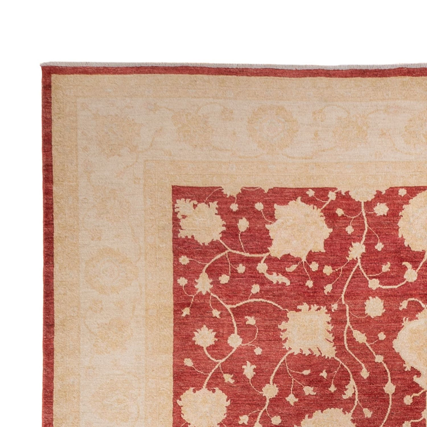 Ziegler Carpet 484x304cm - Oriental Carpet