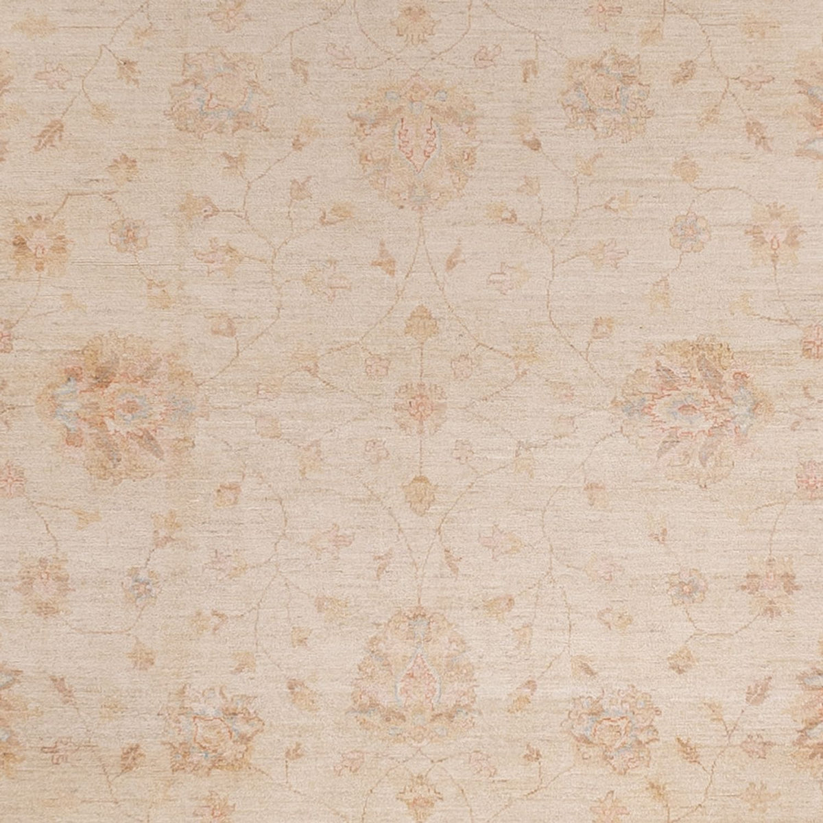 Ziegler Carpet - 487 x 301 cm - beige
