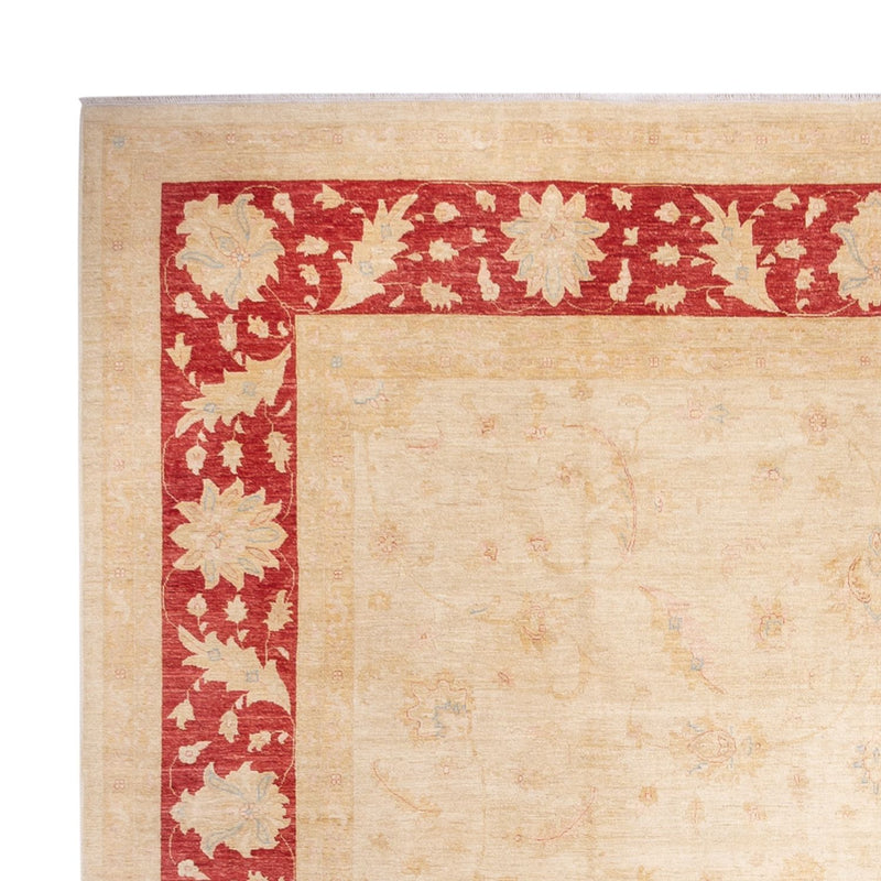 Ziegler Carpet - 488 x 398 cm - beige