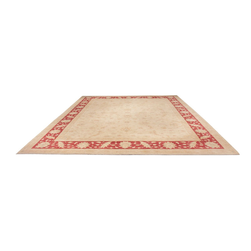 Ziegler Carpet - 488 x 398 cm - beige