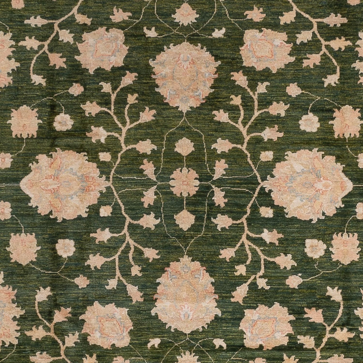 Ziegler Carpet - 440 x 308 cm - grön