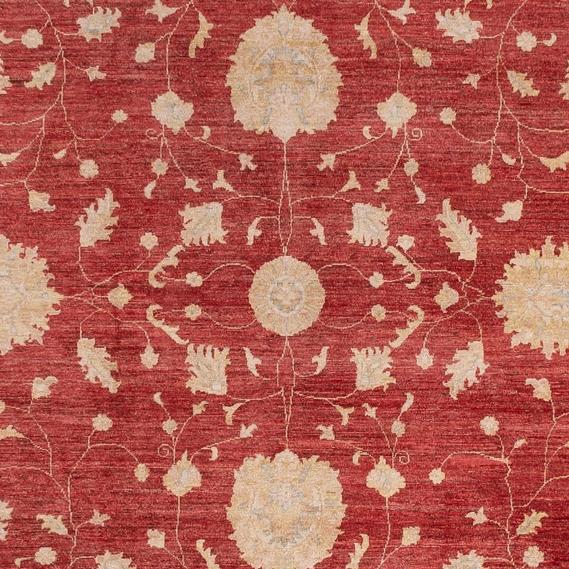 Ziegler Carpet - 444 x 310 cm - röd