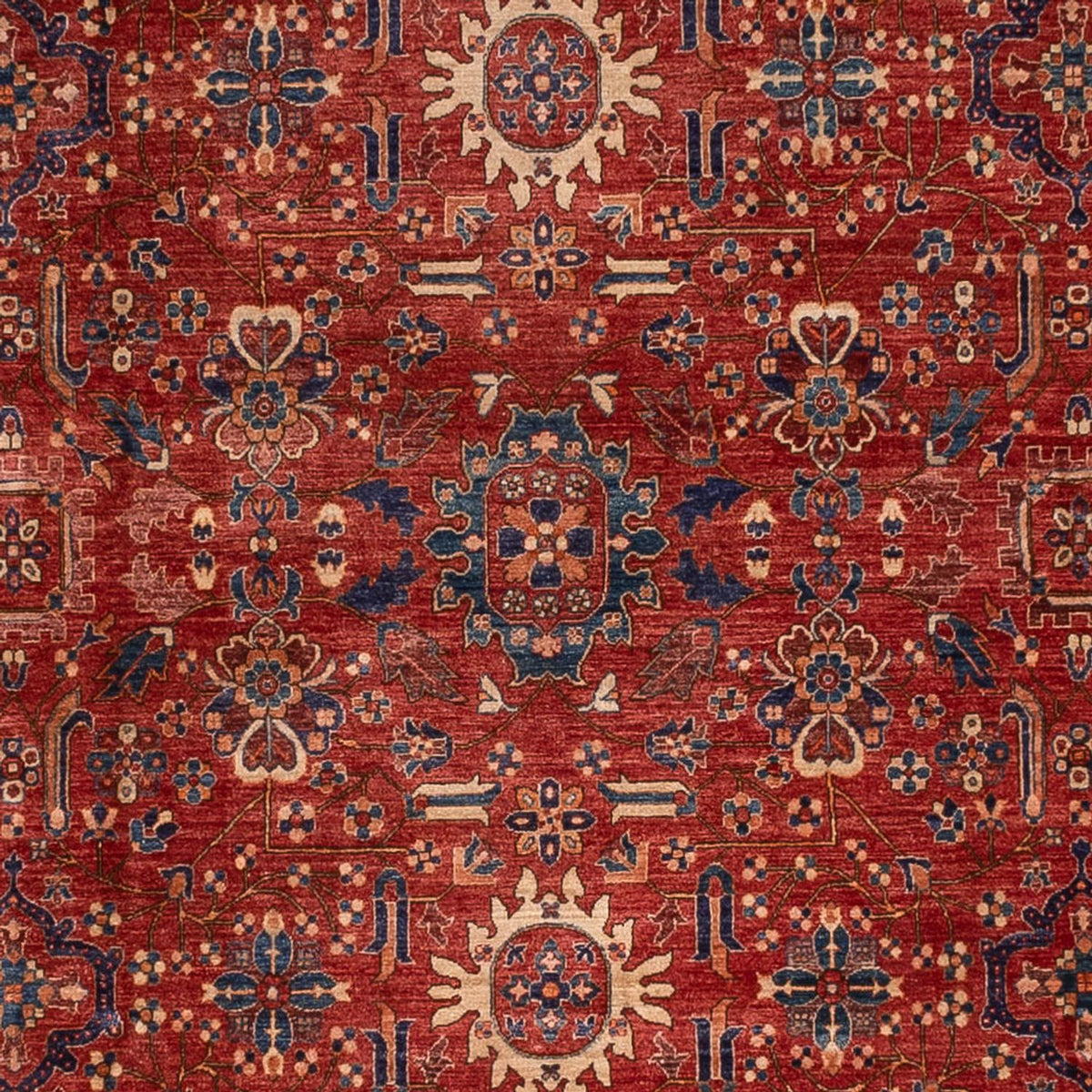 Ziegler Carpet - Ariana - 458 x 362 cm - röd