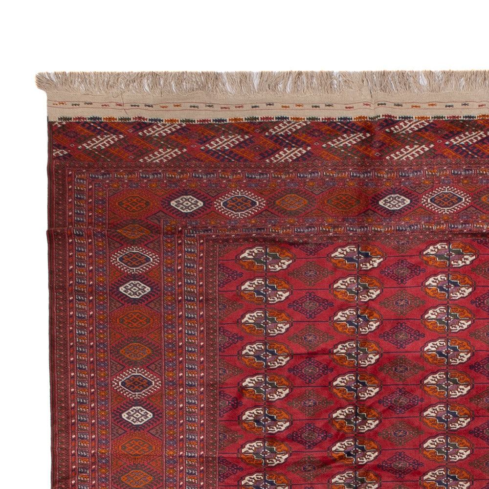 Bukhara Mattan 505x308cm - Oriental Carpet