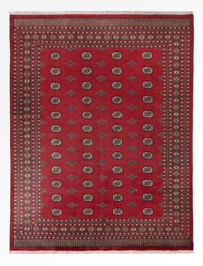 Pakistanska mattan 251x331cm - Oriental Carpet