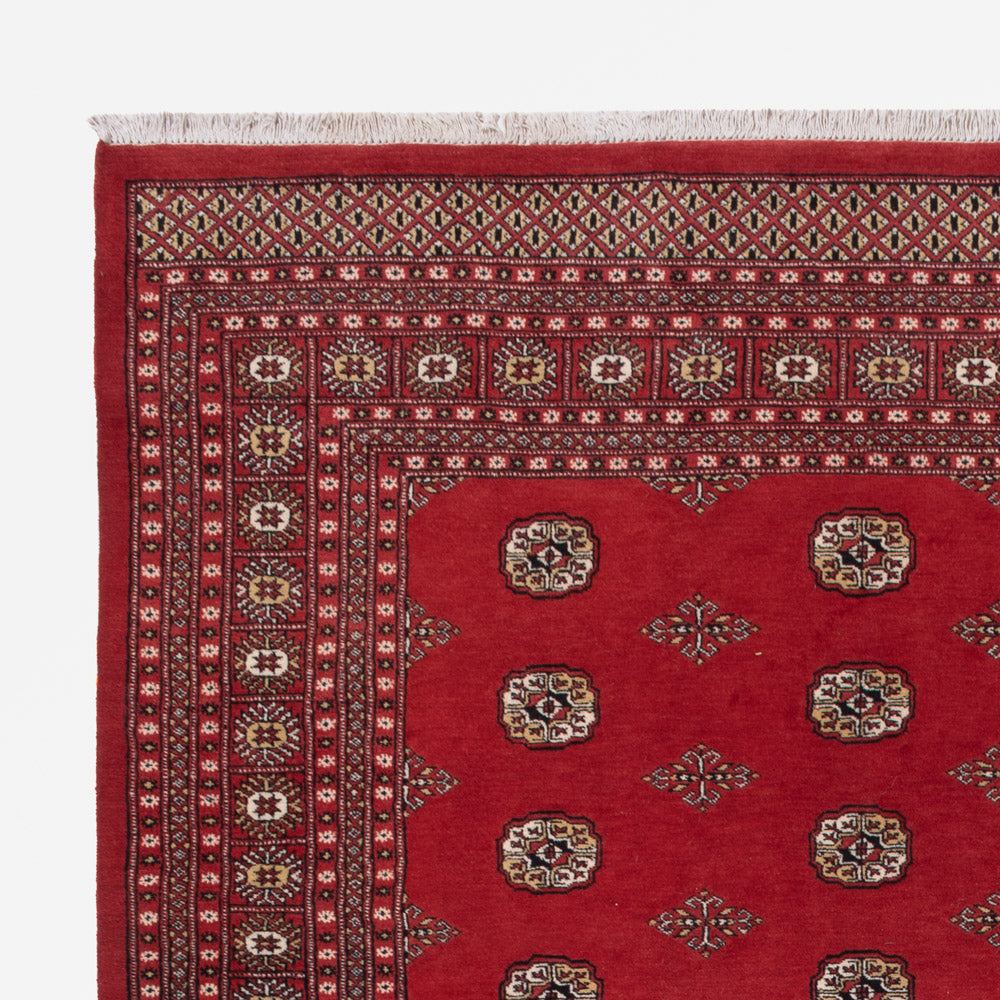 Pakistanska mattan 331x251cm - Oriental Carpet