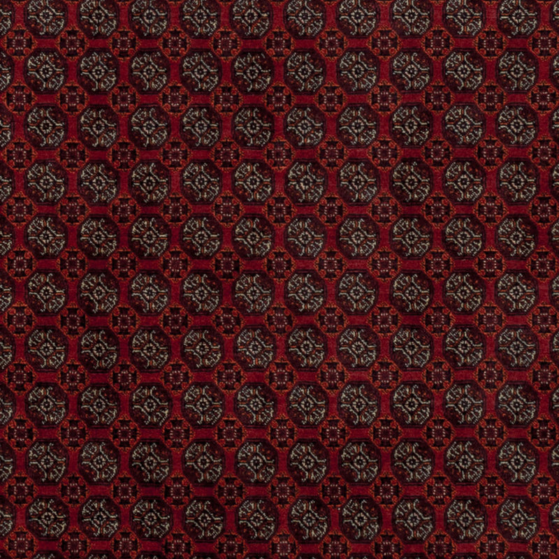 Afghansk matta - Kungliga - 196 x 150 cm - röd