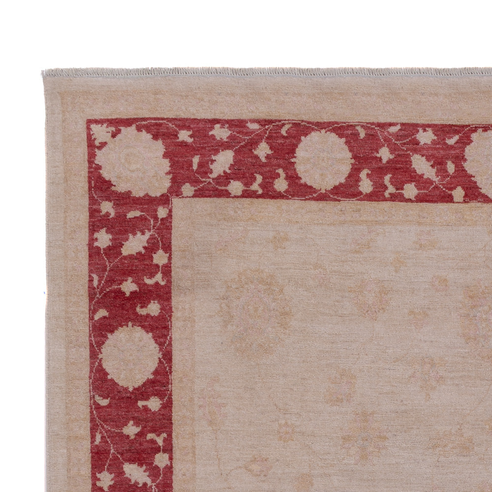 Ziegler Carpet 302x203cm - Oriental Carpet