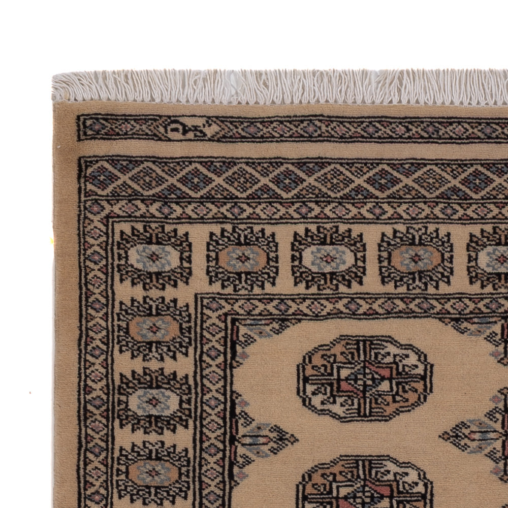 Pakistanska mattan 97x152cm - Oriental Carpet