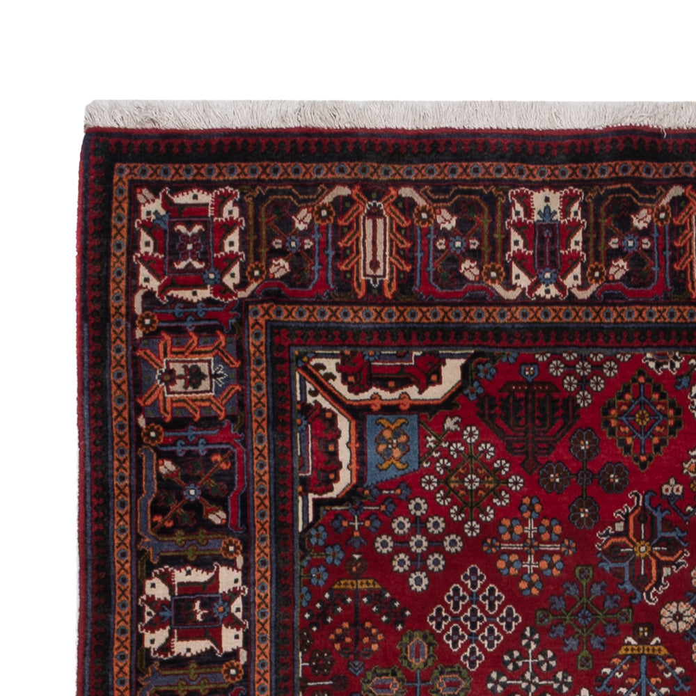 Meymeh Mattan 248x160cm - Persisk matta