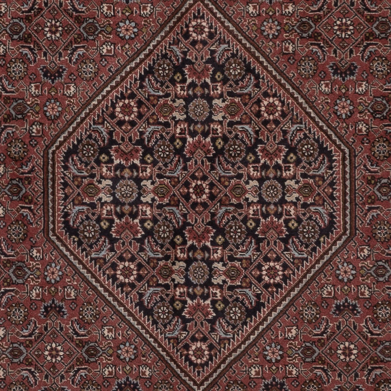 Perserteppich - Bidjar - 294 x 202 cm - dunkelbeige