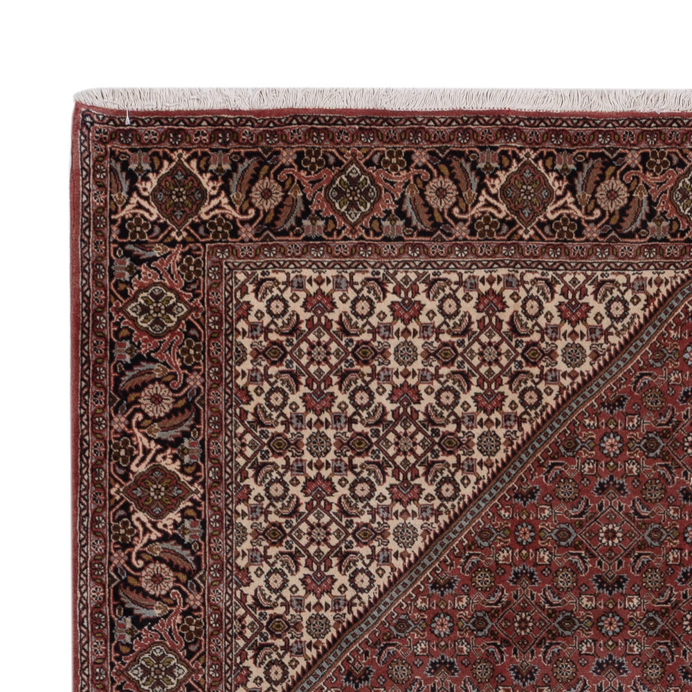 Persisk matta - Bijar - 294 x 202 cm - mörk beige