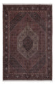 Persisk matta - Bijar - 304 x 198 cm - mörk beige