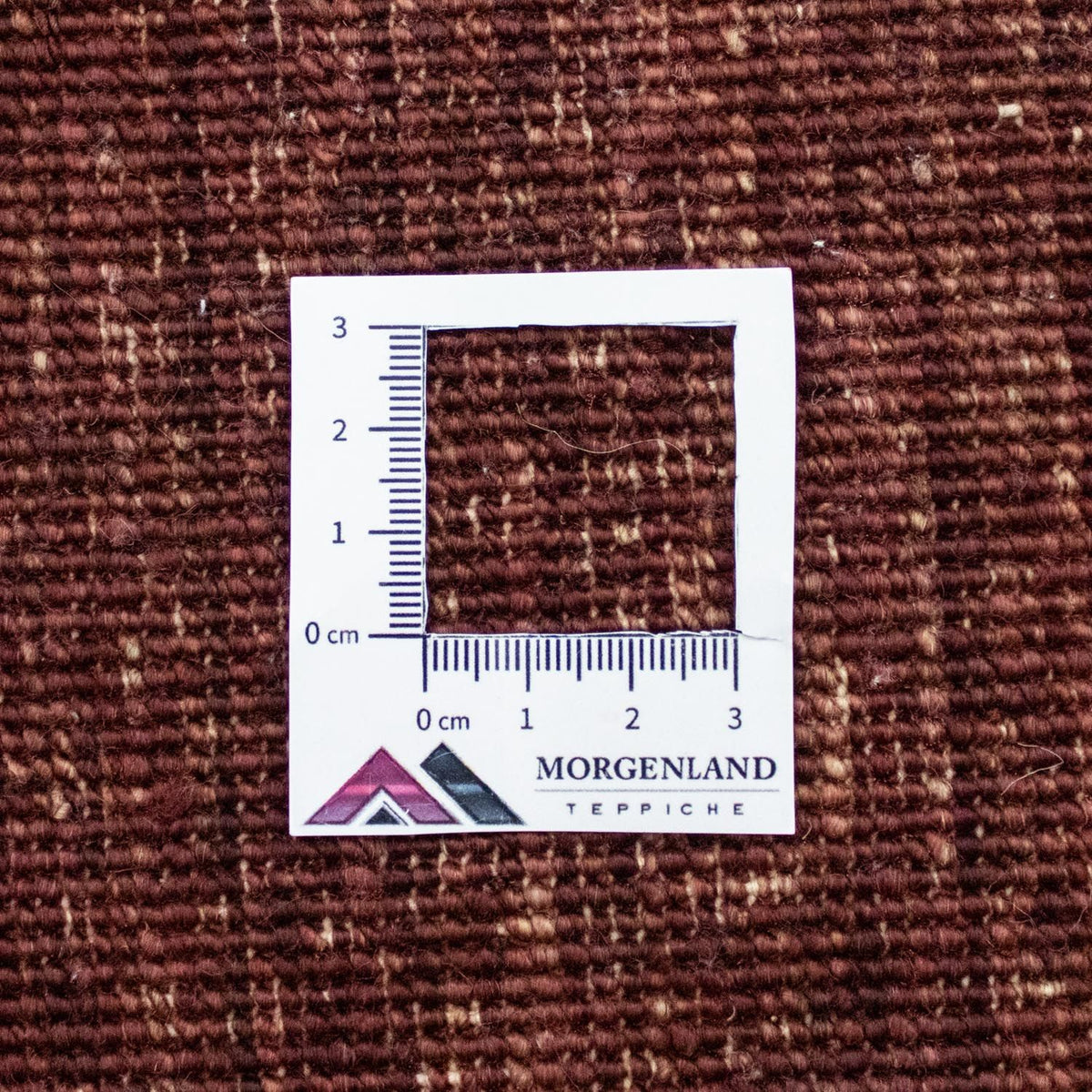 Ziegler Carpet - 237 x 172 cm - färgad