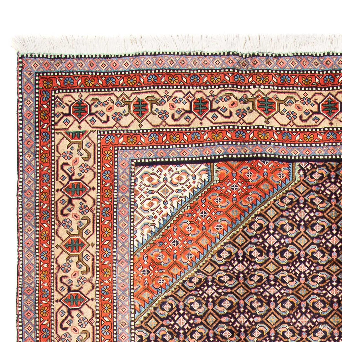 Tabriz Mattan 208x276cm - Persisk matta