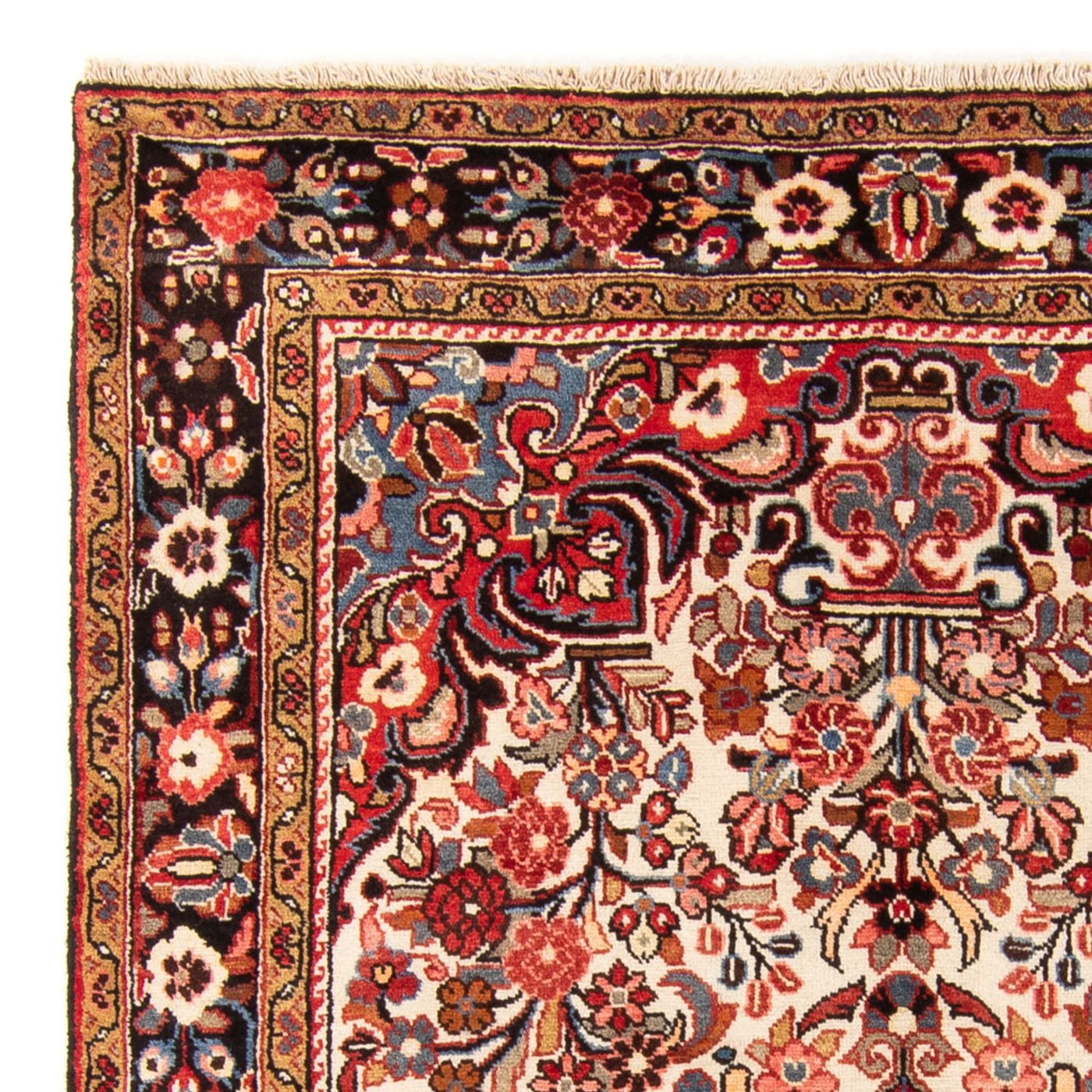 Borchalou Mattan 244x154cm - Persisk matta