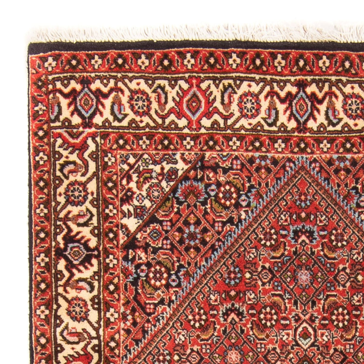 Bidjar - Takab Mattan 81x137cm - Persisk matta