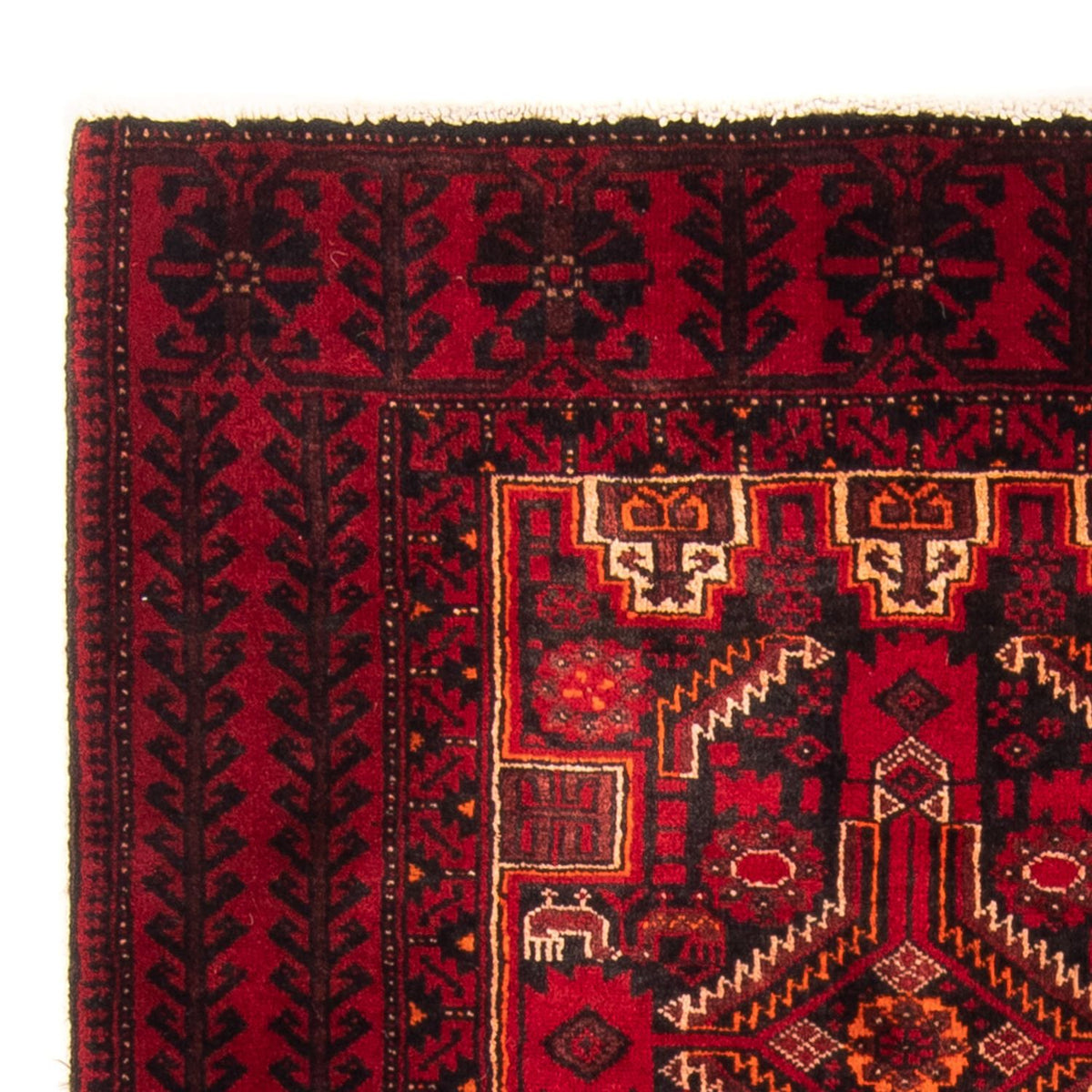 Baluch-matta 89x173cm - Persisk matta