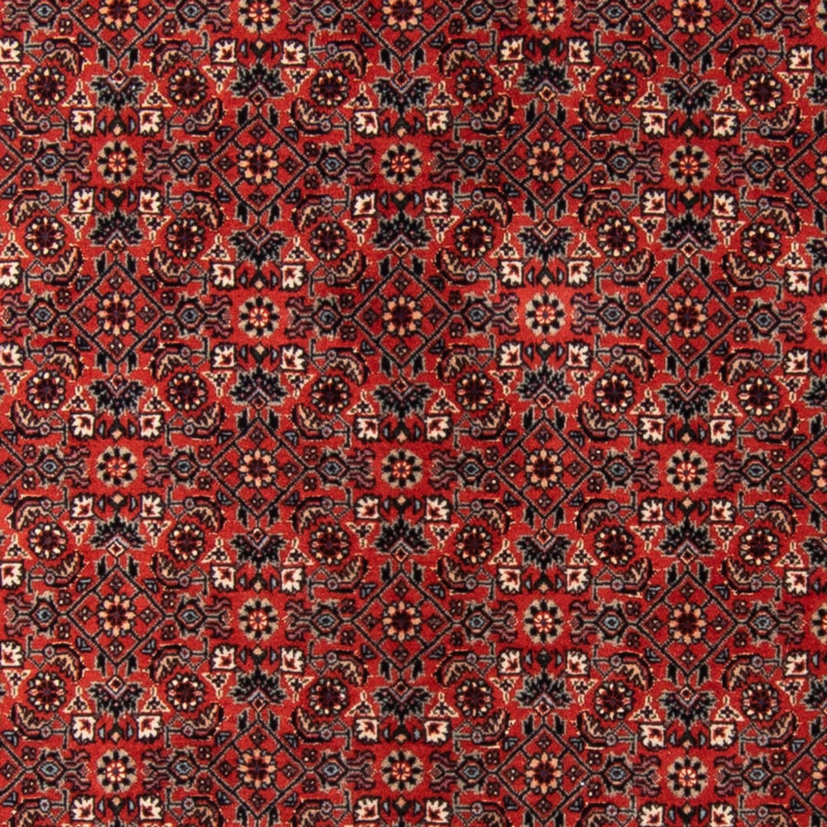 Runner Persisk matta - Bijar - Royal - 205 x 102 cm - röd