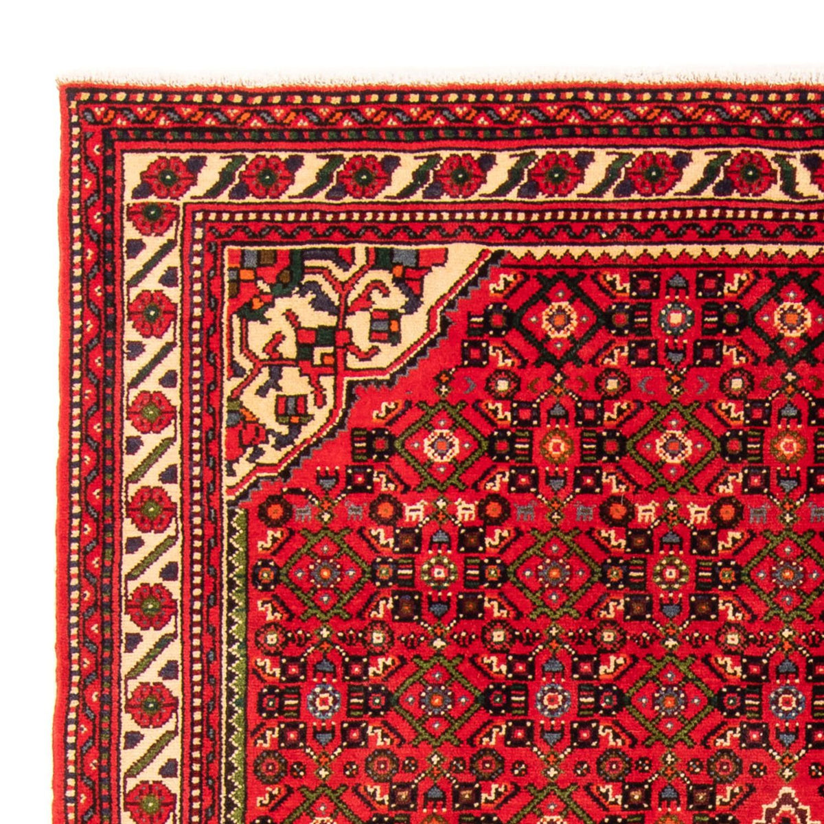 Hosseinabad Mattan 155x204cm - Persisk matta