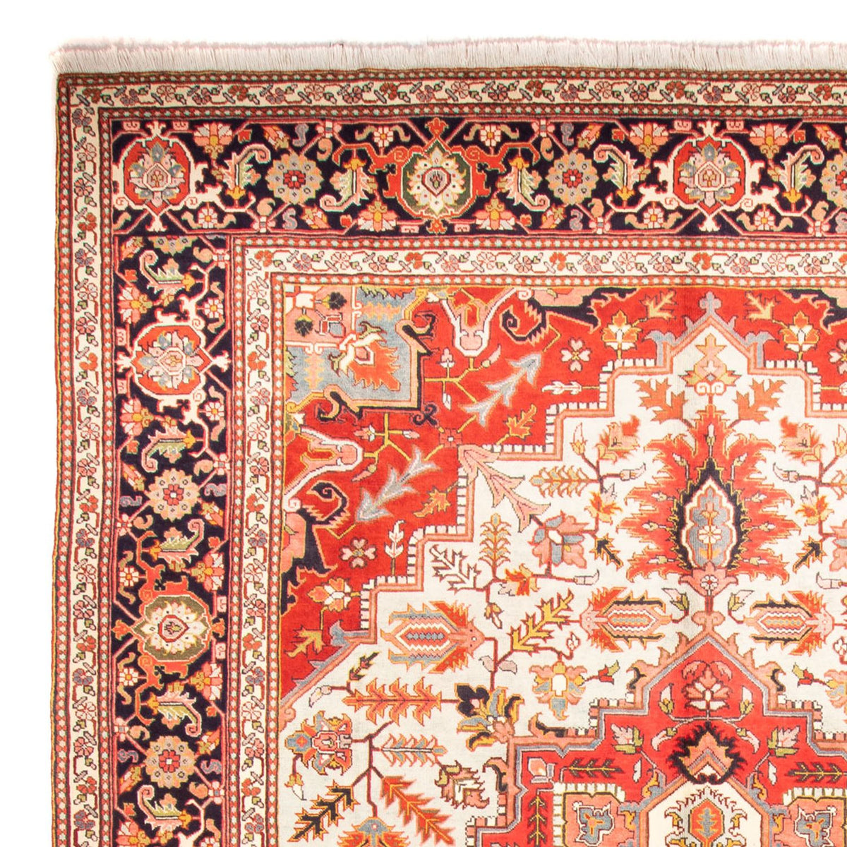 Persisk matta - Nomadic - 395 x 307 cm - beige