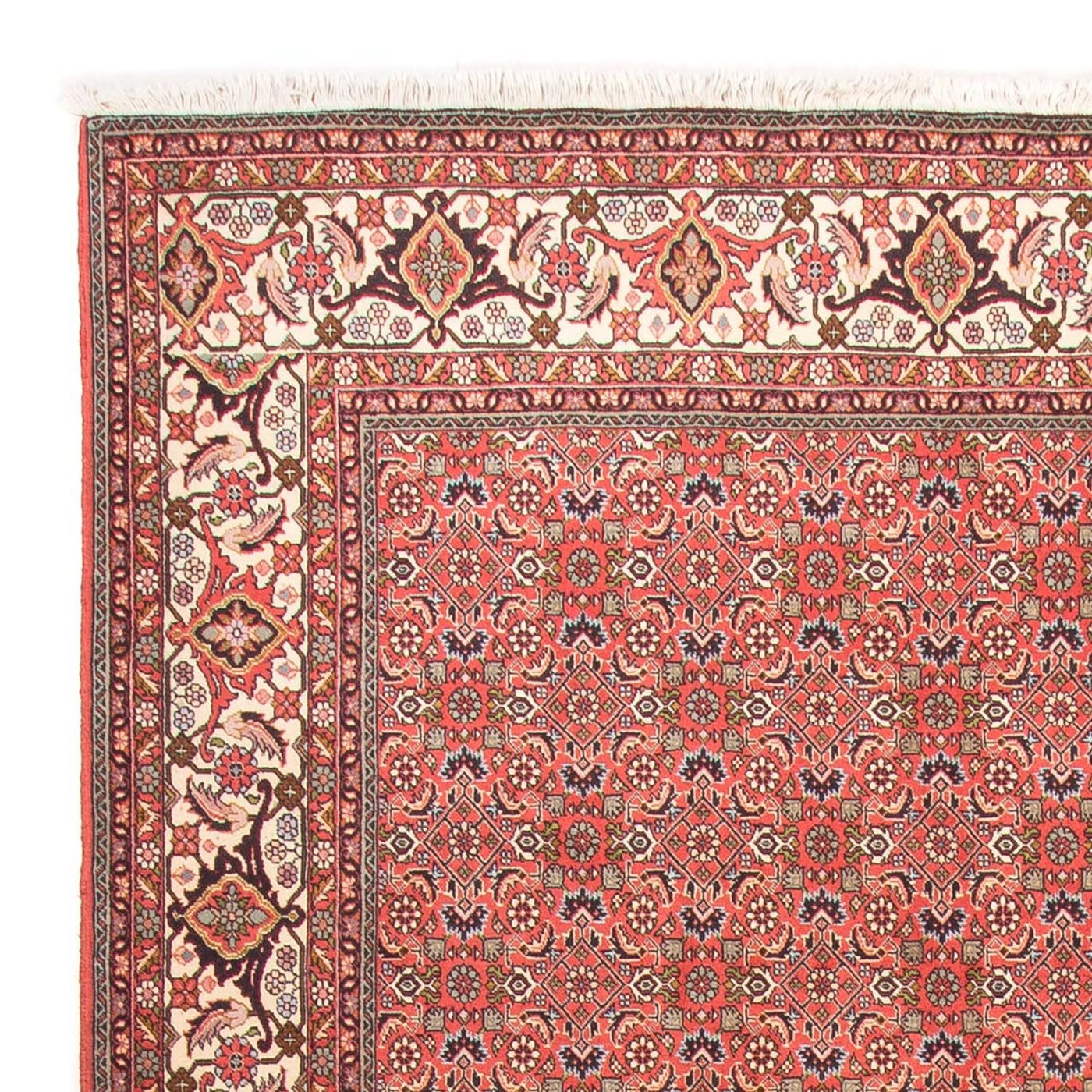 Bidjar - Takab Mattan 300x198cm - Persisk matta